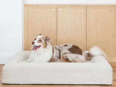 Hybrid Mattress 1
